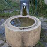 Un'unica fontanella, tra l�altro di difficile utilizzo poich� bassa, � stata posta all�esterno della recinzione ma � priva di scolo: si riempie cos� sempre di acqua stagnante poco salubre per l�abbeveramento